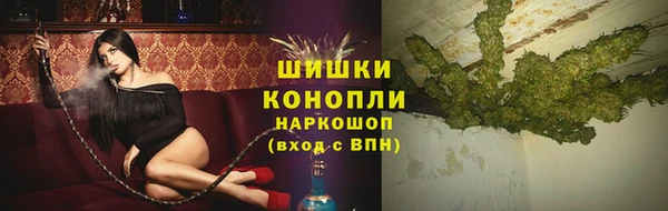 индика Белоозёрский