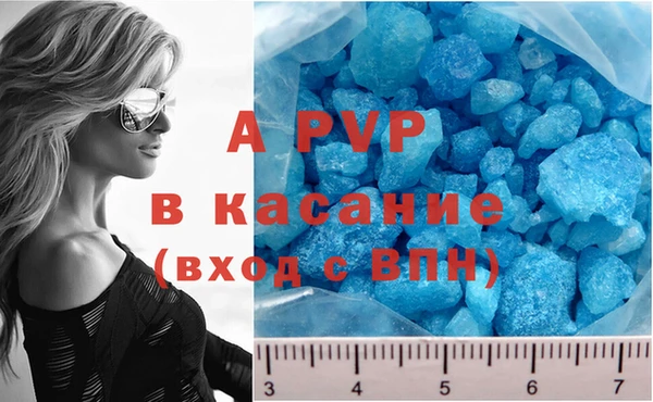 мяу мяу мука Балабаново