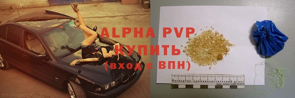 индика Белоозёрский
