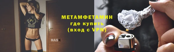 прущие грибы Краснотурьинск