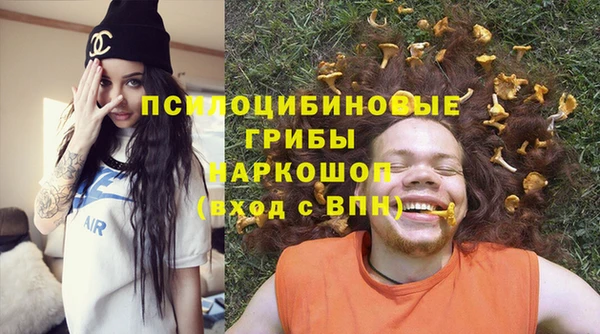 индика Белоозёрский