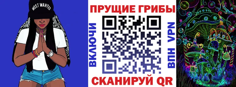 Псилоцибиновые грибы GOLDEN TEACHER  Няндома 